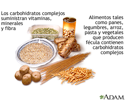 Lee más sobre el artículo Alimentos ricos en carbohidratos complejos: ejemplos y beneficios para la salud