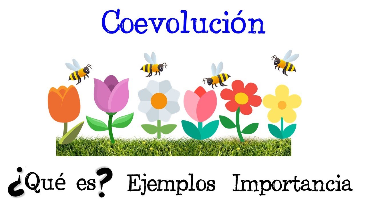 En este momento estás viendo Coevolución: definición y ejemplos