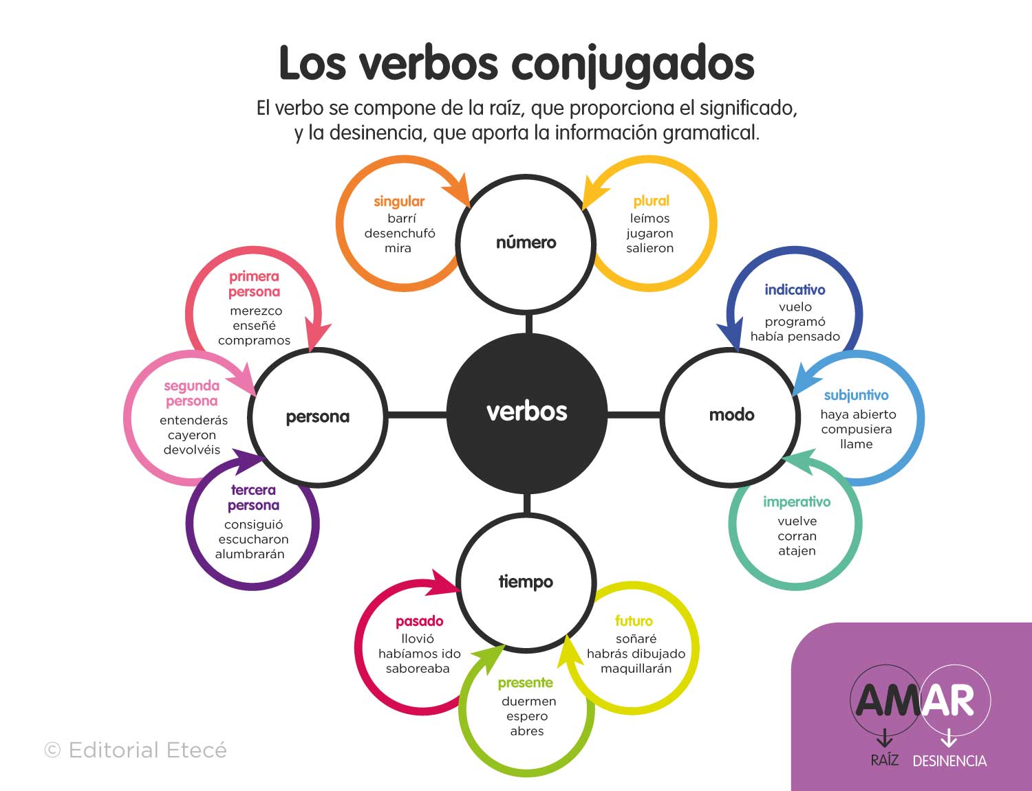 Lee más sobre el artículo Conjugación de verbos: definición y ejemplos