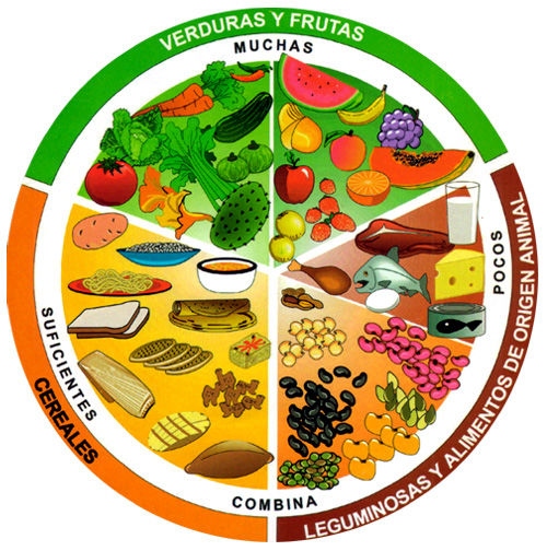 Lee más sobre el artículo Conoce los alimentos ricos en carbohidratos, lípidos y proteínas