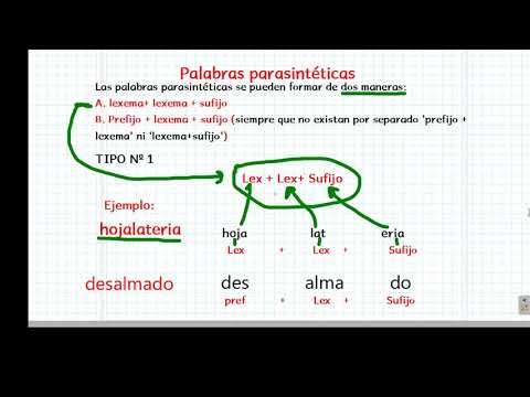 Lee más sobre el artículo ¿Cuáles son los ejemplos más comunes de palabras parasintéticas?