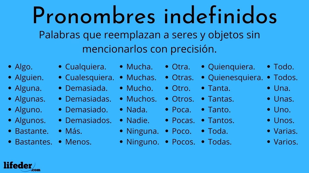 Lee más sobre el artículo ¿Cuántos ejemplos de pronombres indefinidos puedes encontrar?