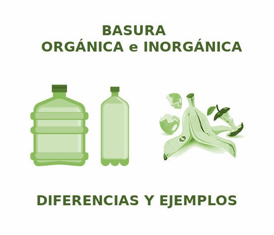 Lee más sobre el artículo Diferencias entre basura orgánica e inorgánica y cómo clasificarla correctamente