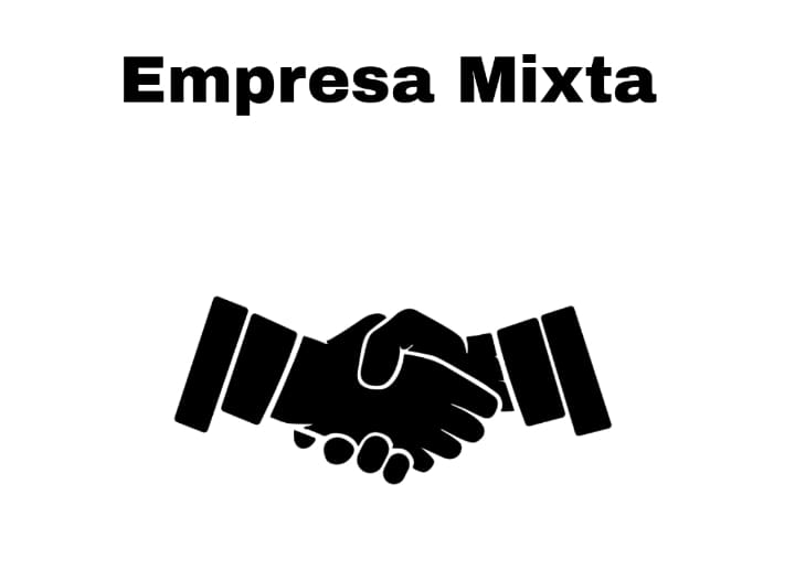 Lee más sobre el artículo Empresas mixtas: definición y ejemplos