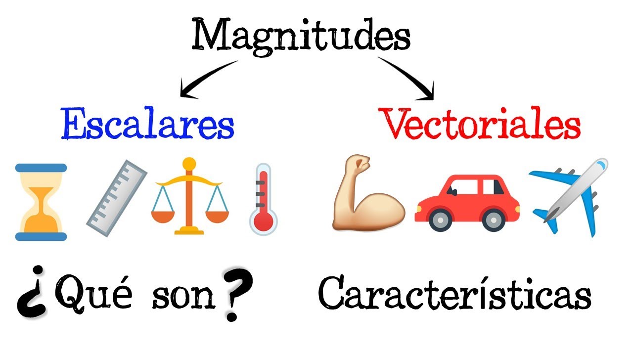 Lee más sobre el artículo Entendiendo las diferencias entre magnitudes vectoriales y escalares