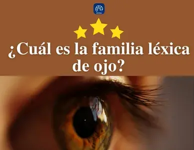 Lee más sobre el artículo Explorando la familia de palabras de ‘ojo’: ejemplos y definiciones