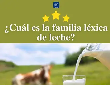 En este momento estás viendo Familia de palabras de leche: definición y ejemplos