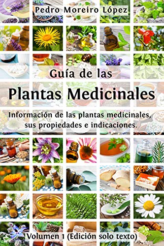 Lee más sobre el artículo Guía de plantas medicinales y sus beneficios