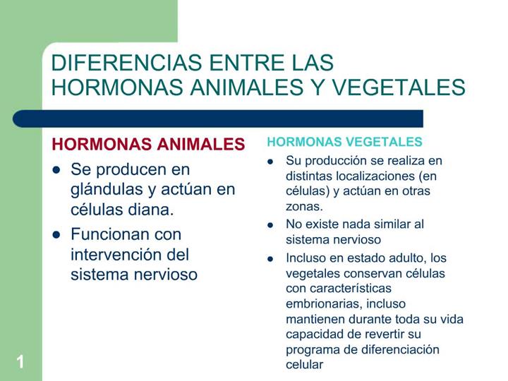 Lee más sobre el artículo Hormonas: diferencias y similitudes entre animales y plantas.