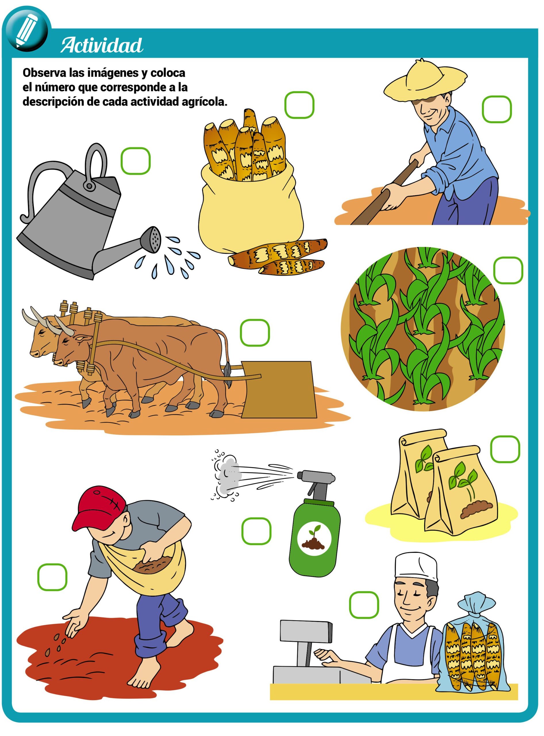 Lee más sobre el artículo Introducción a las actividades agrícolas: ejemplos y definiciones