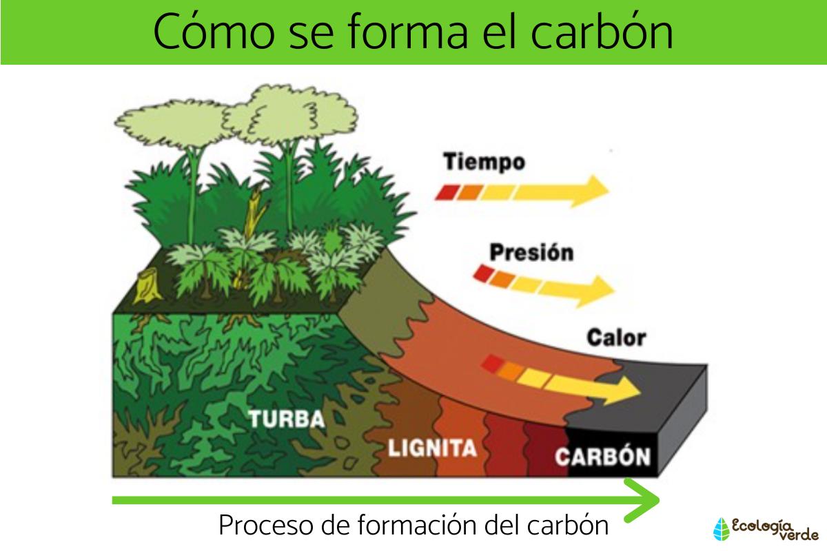 En este momento estás viendo Orígenes del carbono: ejemplos de su obtención