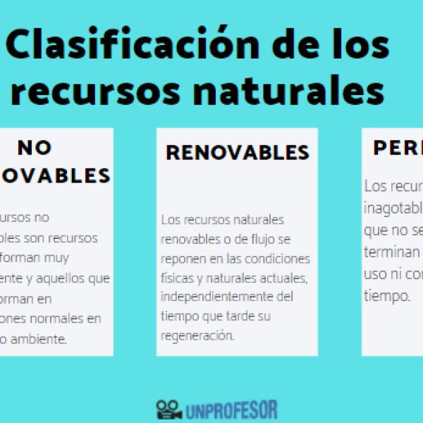 En este momento estás viendo Recursos Renovables: Definición y Ejemplos