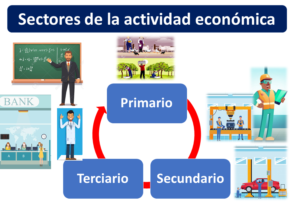 En este momento estás viendo Tipos de actividad económica: Primaria, Secundaria y Terciaria