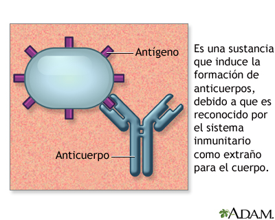 En este momento estás viendo Todo lo que necesitas saber sobre antígenos: definición y ejemplos.